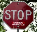 stop eating animals