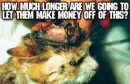 animal testing is wrong
