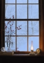 Winter Snow