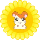 Hamtaro