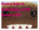 Domo kun is watching you
