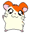 Hamtaro