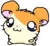Hamtaro 1