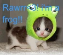 i'm a frog