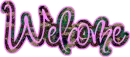 Welcome Camoflauge