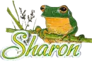 Sharon Frog