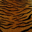 tigerskin