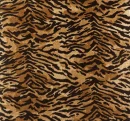 tigerskin-2