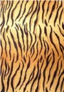 tigerskin-1