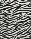 zebra-f
