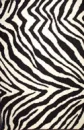 zebraskin