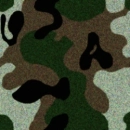 woodlandcamo