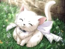 sweet kitty