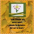 True friends