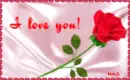 i love you
