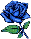 Blue Rose
