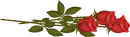 Three Roses
