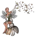 Grey Star Fairy
