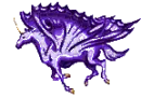 the colours of a unicorn