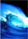 northshorewave