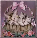 Kittens in a Basket
