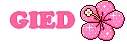 Gied