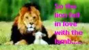 so the lion fell in love with the lamb...