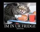 fridge