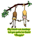 My friends are like monkeys