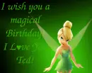 Magical Birthday - Ted
