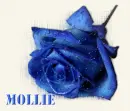 mollie