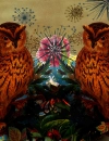 Owls