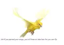 Spread your wings