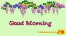 good morning