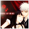 Rose of Mine