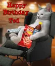 TED