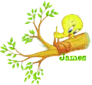 tweety james