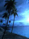 ocean