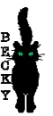 BLACK CAT