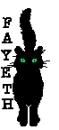 BLACK CAT