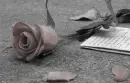 sorry but good-bye