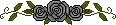 black roses