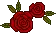 red rose