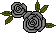 black rose