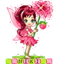 niki