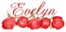 roses evelyn