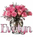 Evelyn