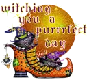 Witching you a purrfect day!