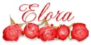 roses elora