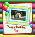 Happy BIrthday Ted